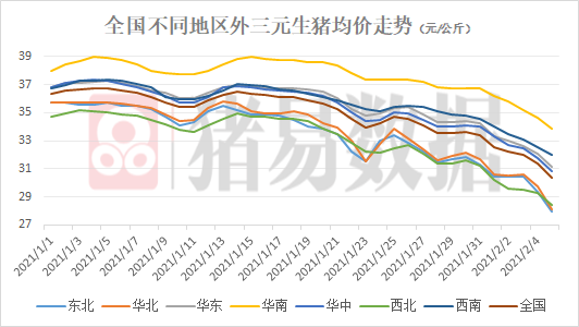 三门峡猪价行情最新分析